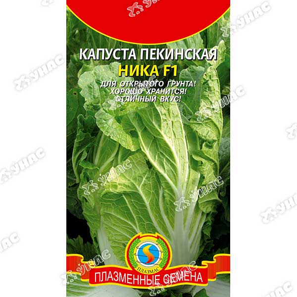 Капуста Ника пекинская Плазма Ц