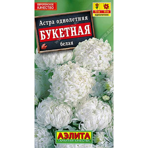 Астра Букетная белая Аэлита Ц 