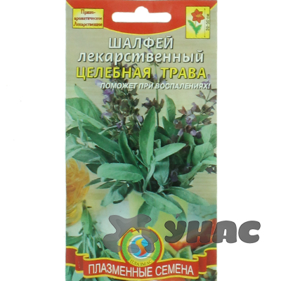 Шалфей Целебная трава Плазма Ц