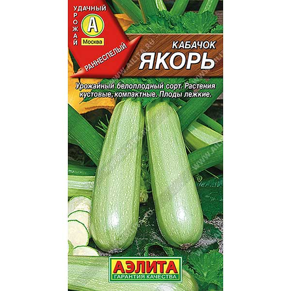 Кабачок Якорь белоплодный Аэлита Ц