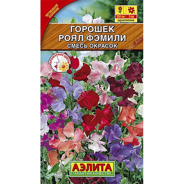 Душистый горошек Роял Фэмили  Аэлита Ц 
