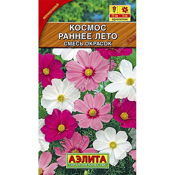 Космея Раннее лето Аэлита Ц 