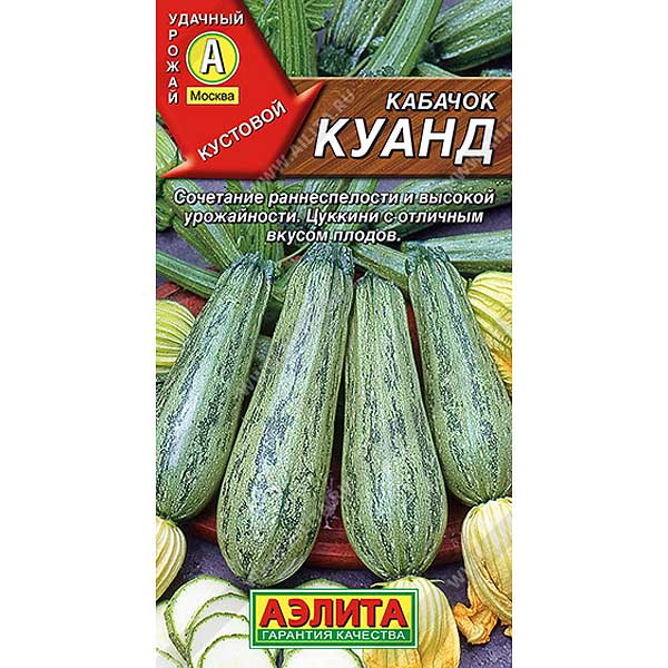 Кабачок цукини Куанд Аэлита Ц