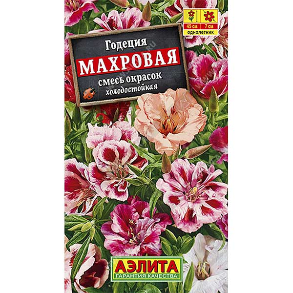 Годеция Махровая смесь Аэлита Ц 