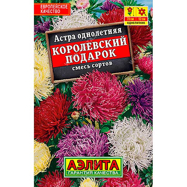 Астра Королевский подарок "Лидер" Аэлита Ц 