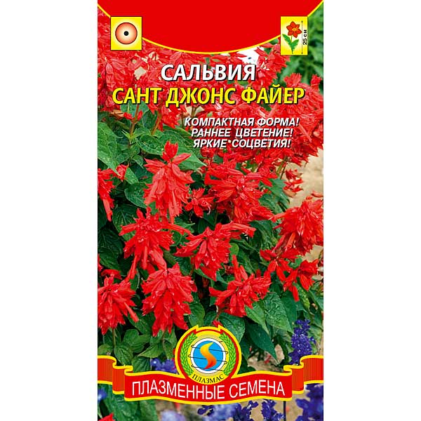 Сальвия Сант Джонс Файер Плазма Ц 