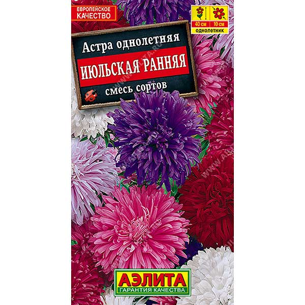 Астра Июльская смесь Аэлита Ц 