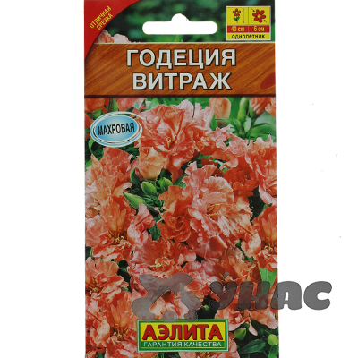 Годеция Витраж крупноцветковая Аэлита Ц 