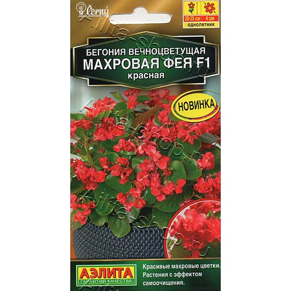 КОМ Бег Фея красная  Аэлита Ц х10 