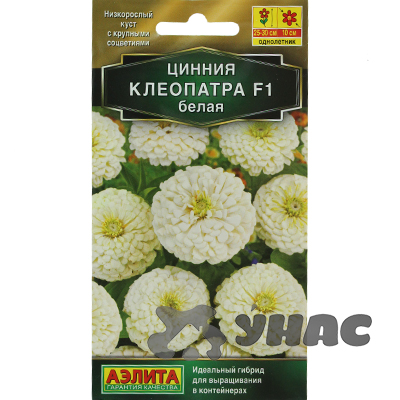 Циния Клеопатра белая Аэлита Цх10 