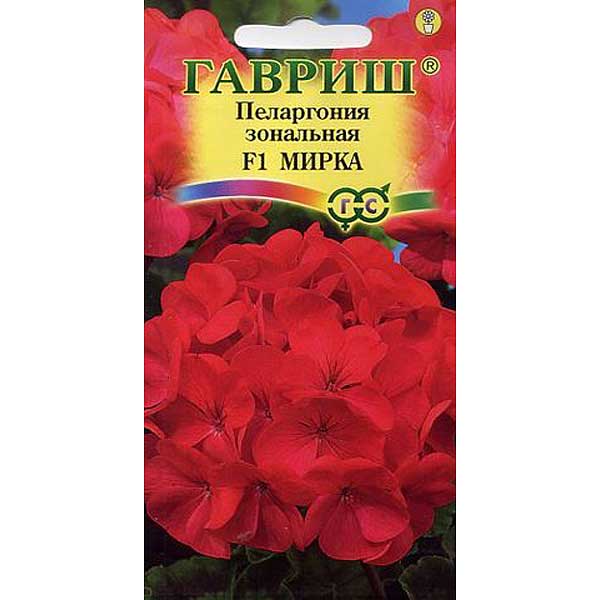 КОМ Пеларгония Мирка Гавриш Ц 