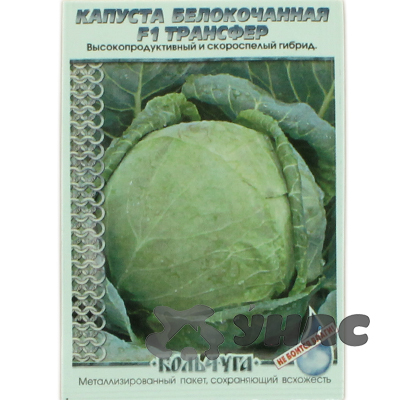 Капуста Трансфер "Кольчуга" НК