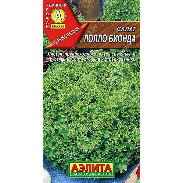 Салат Лолло Бионда Аэлита Ц