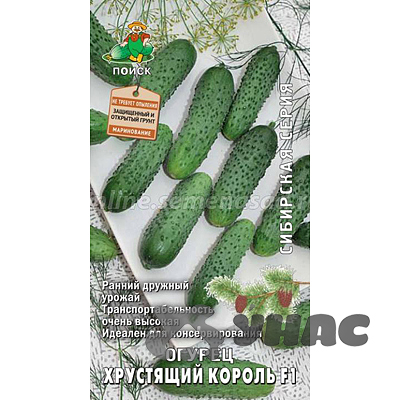 Огурец Хрустящий король Поиск Ц