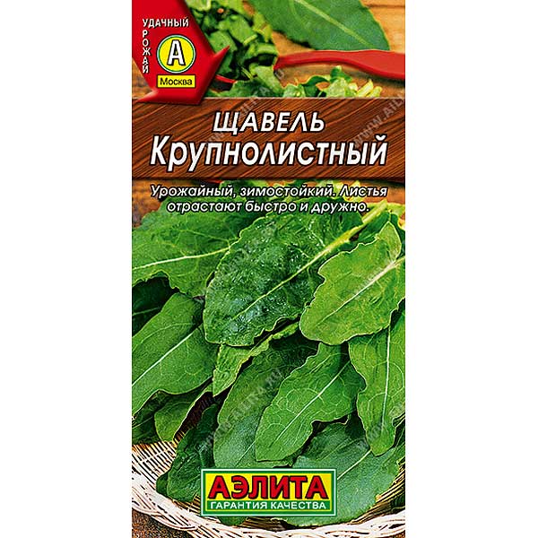 Щавель крупнолистный Аэлита Ц