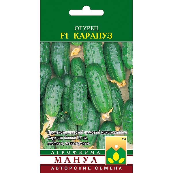 Огурец Карапуз Манул Ц