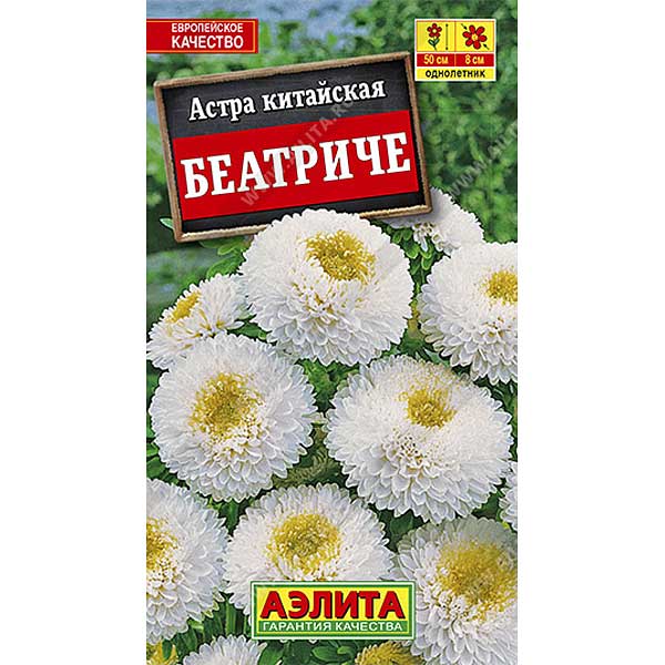 Астра Беатриче Аэлита Ц 