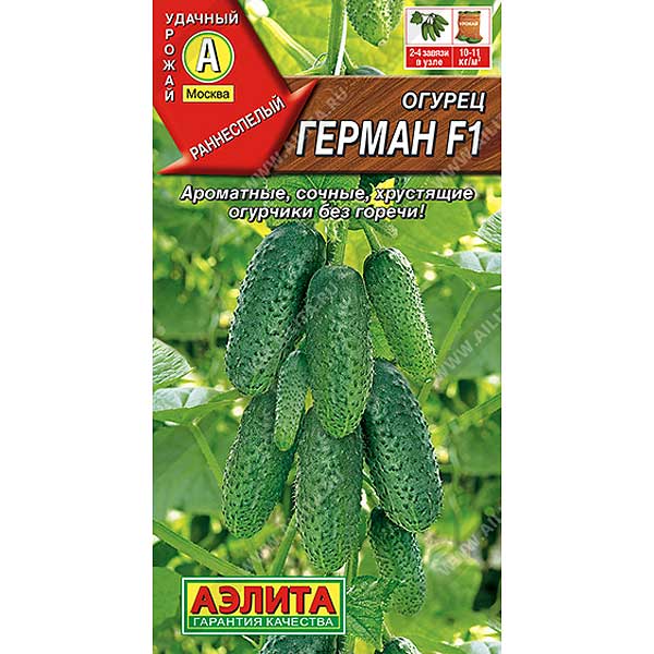Огурец Герман Аэлита Ц