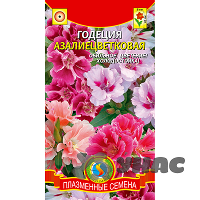 Годеция азалиецветковая смесь Плазма Ц 