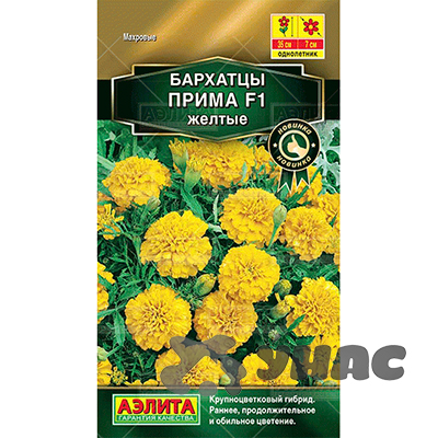 Бархатцы Прима желтые  Аэлита Ц 