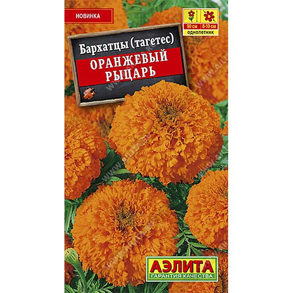 Бархатцы Оранжевый рыцарь Аэлита Ц 