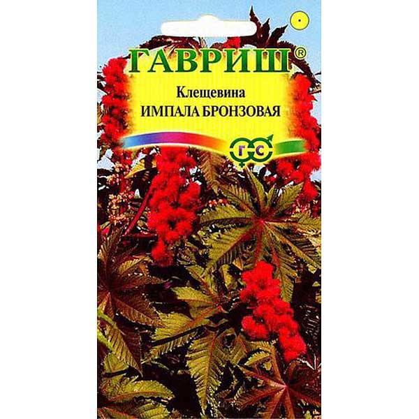 Клещевина Импала бронзовая Гавриш Ц 