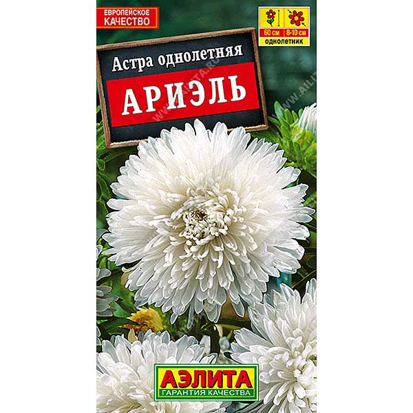 Астра Ариэль Аэлита Ц 