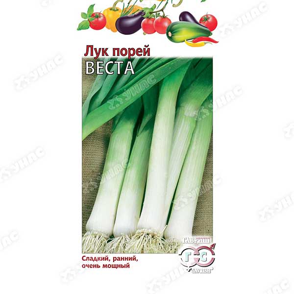 Лук порей Веста Гавриш Ц