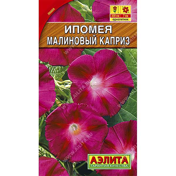 Ипомея Малиновый каприз Аэлита Ц 