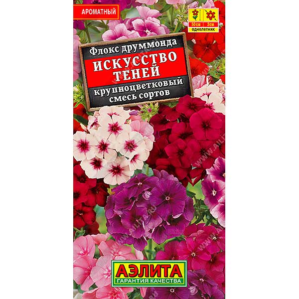 Флокс Искусство теней Аэлита Ц 