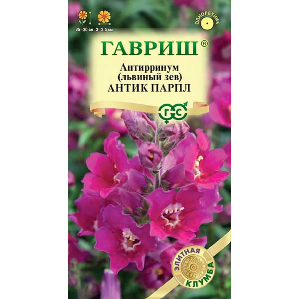 Антирринум (Львиный зев) Антик Парпл Гавриш Ц 