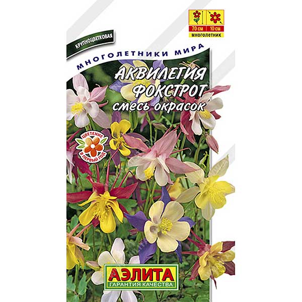 Аквилегия Фокстрот Аэлита Ц 