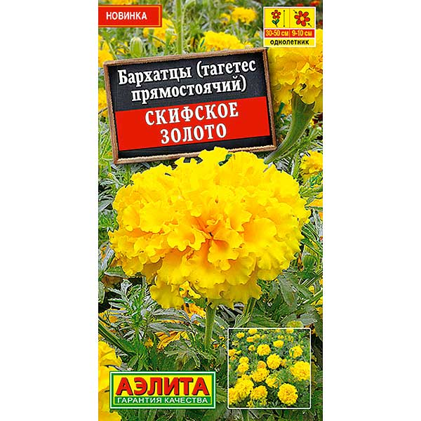 Бархатцы Скифское золото Аэлита Ц 