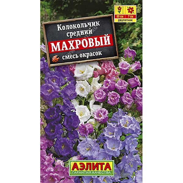 Колокольчик Махровый смесь Аэлита Ц 