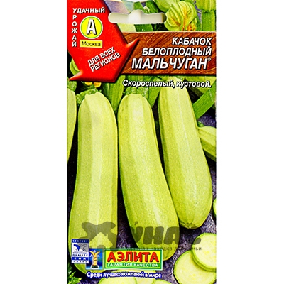 Кабачок Мальчуган белоплодный Аэлита Ц