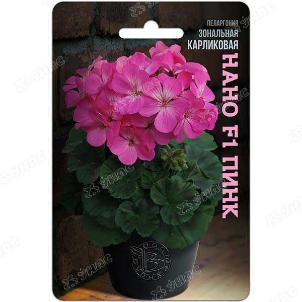 КОМ Пеларгония Нано Пинк карликов Биотехника Ц 