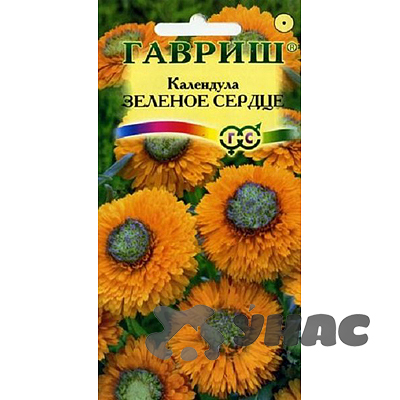 Календула Зеленое сердце Гавриш Ц 