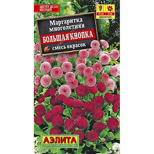 Маргаритка Большая кнопка Аэлита Ц 