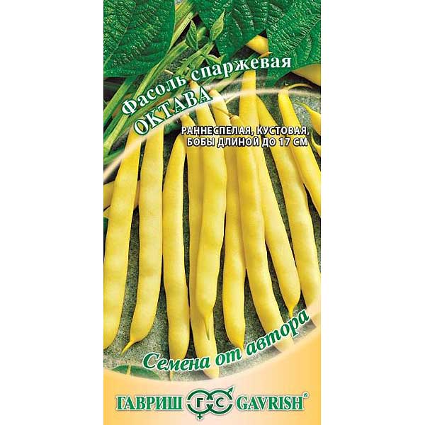 Фасоль Октава Гавриш Ц