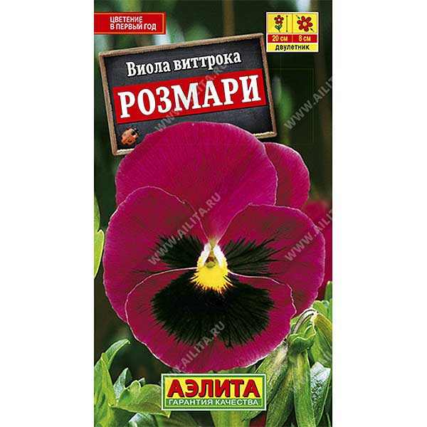 Виола Розмари гр. Швейц.гиг. Аэлита Ц 