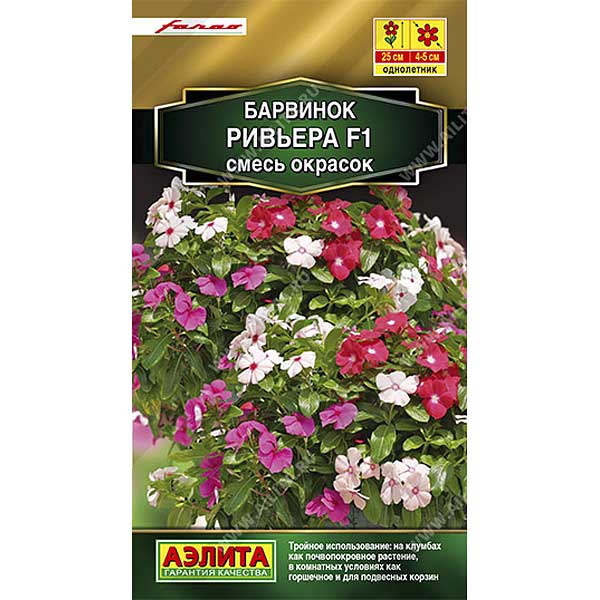 Барвинок Ривьера смесь Аэлита Ц 