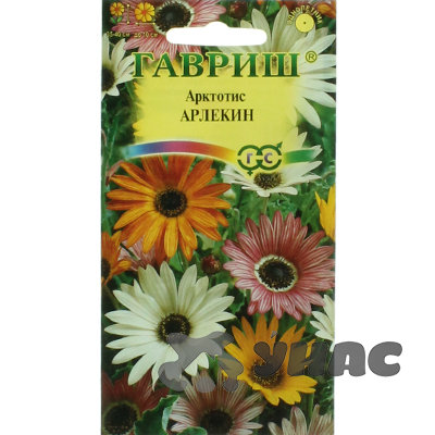 Арктотис Арлекин Гавриш Ц 