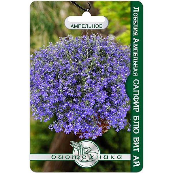Лобелия Сапфир Блю вит Ай Биотехника Цх10 