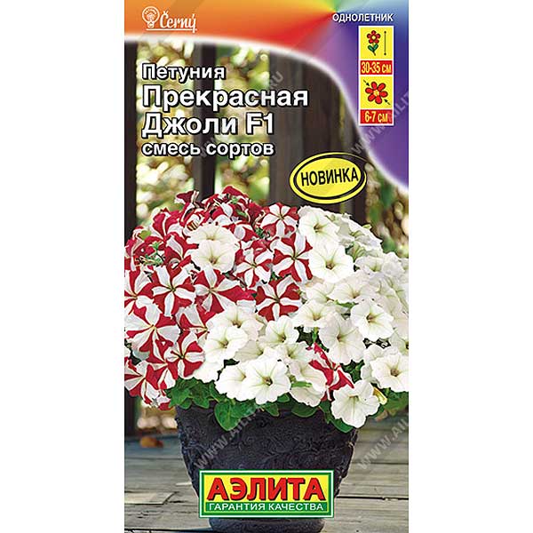 Петуния Прекрасная Джолли Аэлита Ц 