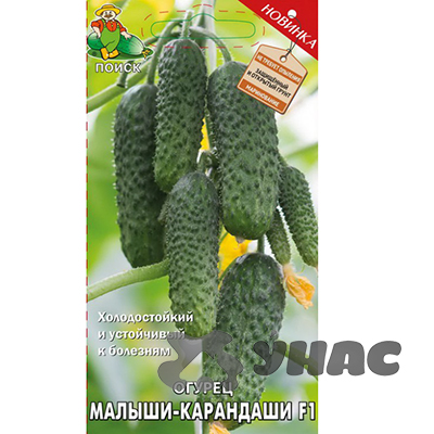 Огурец Малыши-карандаши Поиск Ц