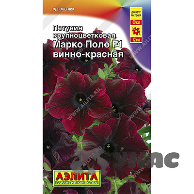 Петуния Марко Поло винно-красная Аэлита Ц 