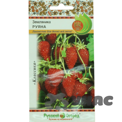 Земляника Руяна НК Ц