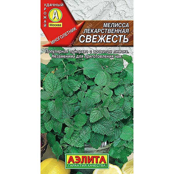 Мелисса лекарственная Свежесть Аэлита Ц x10