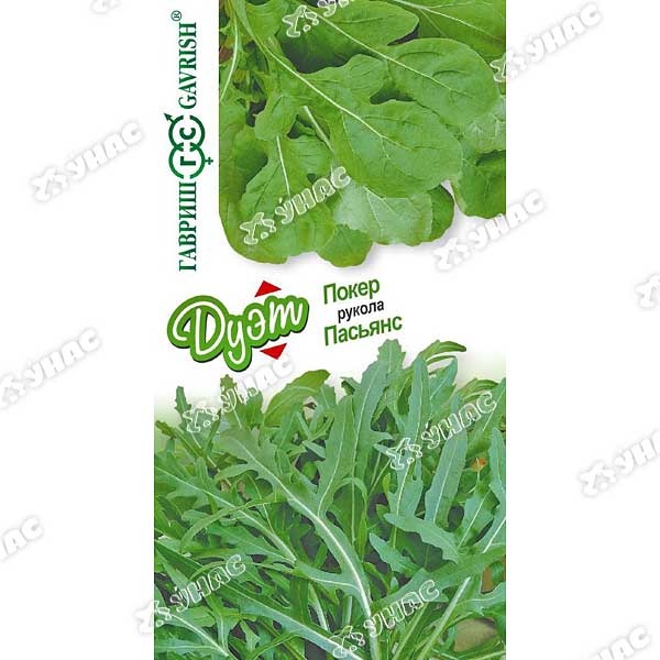 Руккола (индау) ДУЭТ Пасьянс+Покер Гавриш Ц