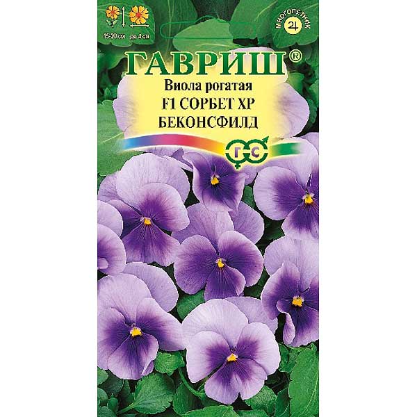 Виола рогатая Сорбет ХР Беконсфилд Гавриш Ц 